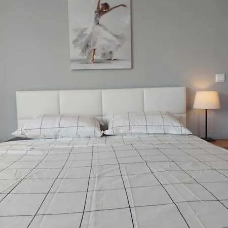 Apartment Maxim White Student 1bdr